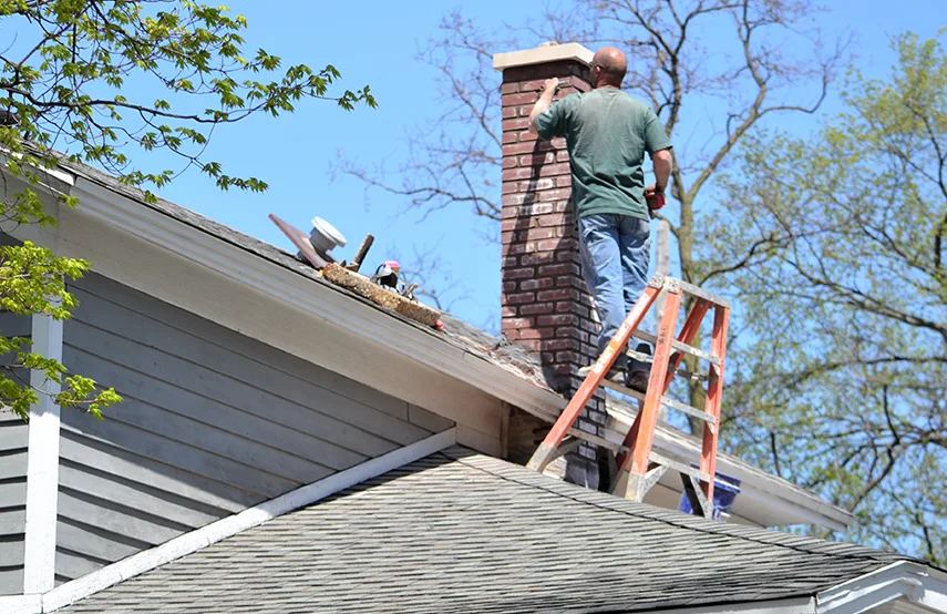 Chimney & Fireplace Inspections Services in Allison Park, PA